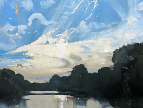 Hammer Pond, Knepp (46 x 61 cm) oil on board