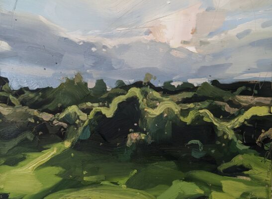 Knepp Scrubland (22 x 30 cm) oil on board