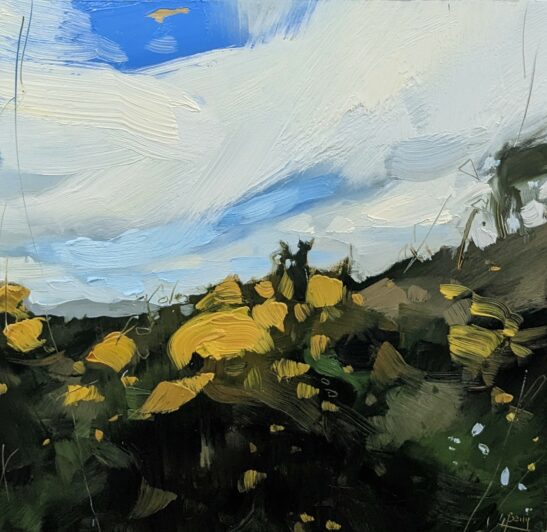 Gorse, St. Mary's (20 x 20 cm) oil on board