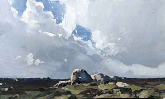 Rocks near Jacky's Point (30 x 50 cm) oil on board